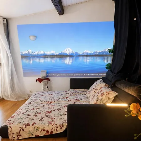 Privat bolig French Loft In